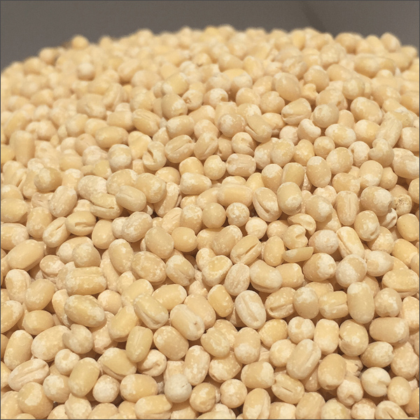 Urad Dal